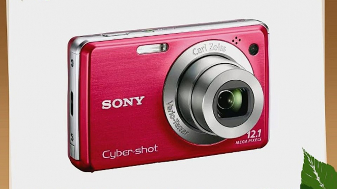 Sony Cyber-shot DSC-W230 12 MP Digital Camera with 4x Optical Zoom and Super Steady Shot Image