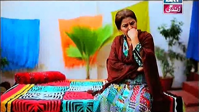 Behnein Aisi Bhi Hoti Hain Episode 168 On Ary Zindagi in High Quality 3rd February 2015 - DramasOnline