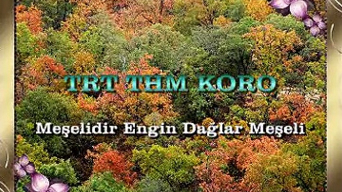 TRT THM KORO *Meşelidir Engin Dağlar Meşeli*