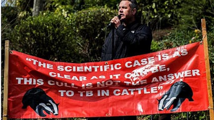 BBC Radio Oxford - Phil Gayle on the Badger cull being extended to Oxford 26Jan14 - Dominic Dyer & Jeremy Brown