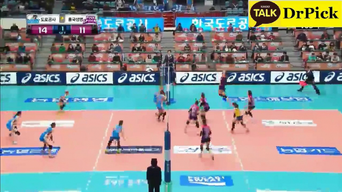 【South Korea Womens Volleyball】