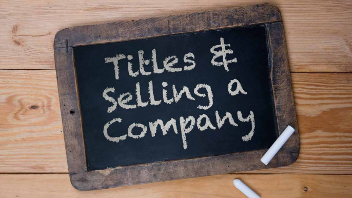 Do Titles Matter in Mergers and Acquisitions?