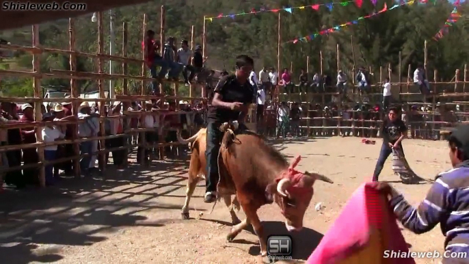 JARIPEO HD DE RANCHO EN EL PUEBLO SAN BALTAZAR YATZACHI EL BAJO OAXACA MEXICO 2015 FIESTA PATRONAL PARTE 2DE3