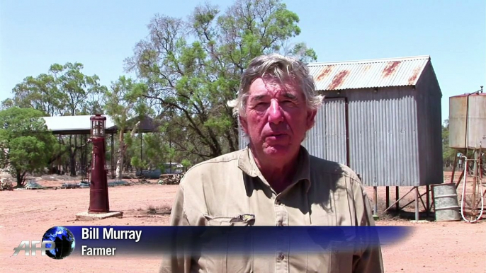 Heavy toll as Australian farmers struggle through drought