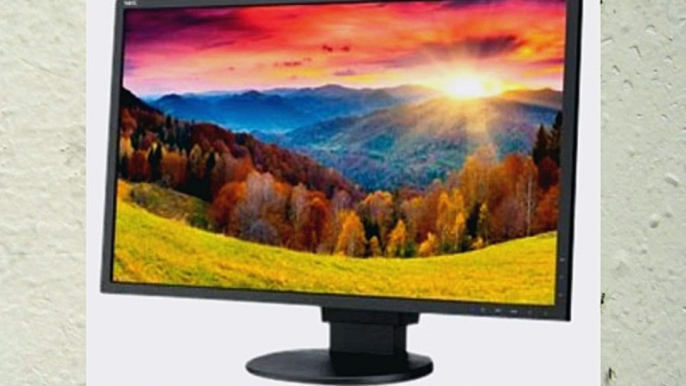 NEC MultiSync EA244WMI-BK 24-Inch Screen LED-Lit Monitor