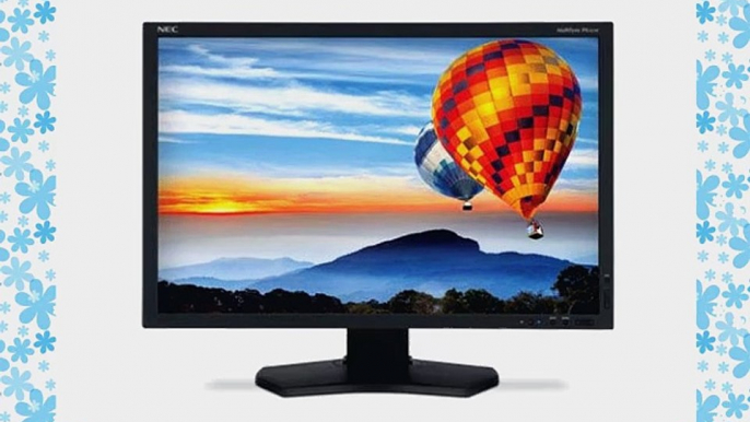 NEC PA242W-BK 24-Inch Screen LCD Monitor