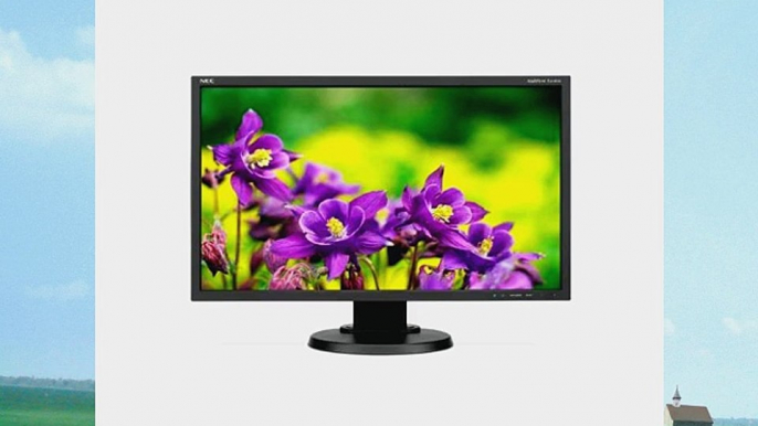 NEC Monitor E243WMI-BK 24-Inch Screen LCD Monitor