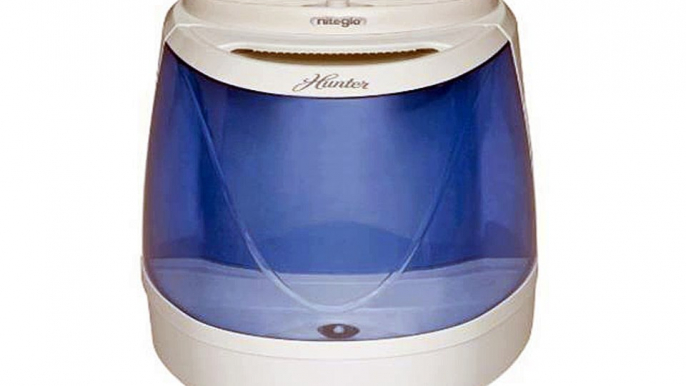 Top 10 Whole Room Humidifiers to Buy