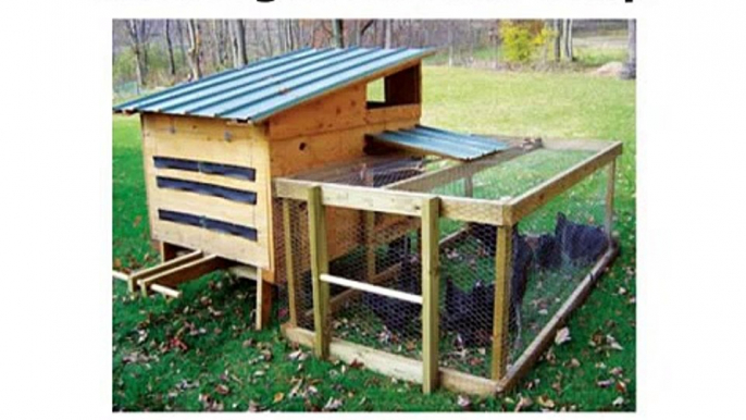 Building A Chicken Coop - How to Build Cheap Chicken Coops