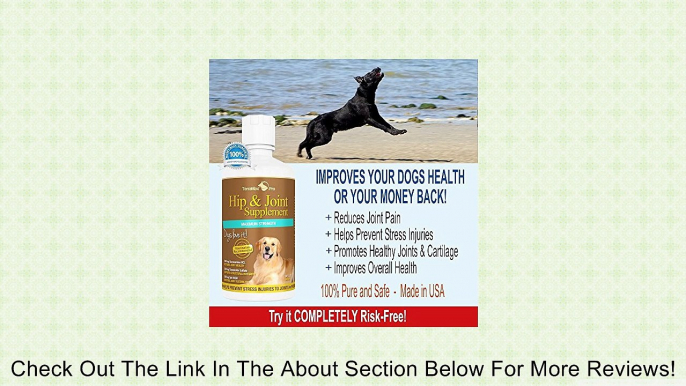 #1 Liquid Glucosamine for Dogs with Chondroitin MSM & Hyaluronic Acid - Safe & Natural Arthritis Pain Relief for Dogs! Extra Strength Dog Supplements for Joints and Hips - Liquid Joint Supplements for Dogs Absorb Better than Chewables or Powders - Strong