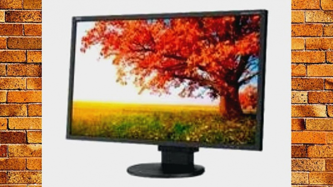 NEC EA224WMI-BK 21.5-Inch Screen LED-Lit Monitor