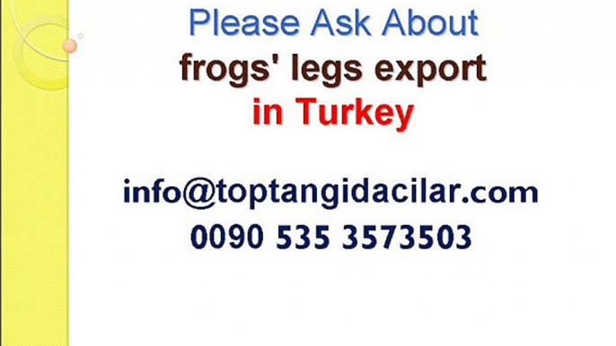 frog_leg,frog legs don't starve, frog legs salt, frog leg, fried frog legs recipe,frog legs recipe french,frog legs recipe chinese,frog legs recipe easy,frog legs recipe gril,deep fried frog legs recipes,cook frog legs,make frog legs