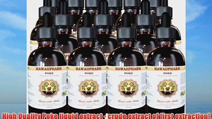 Poke (Phytolacca americana) Liquid Extract Tincture 15x4 oz