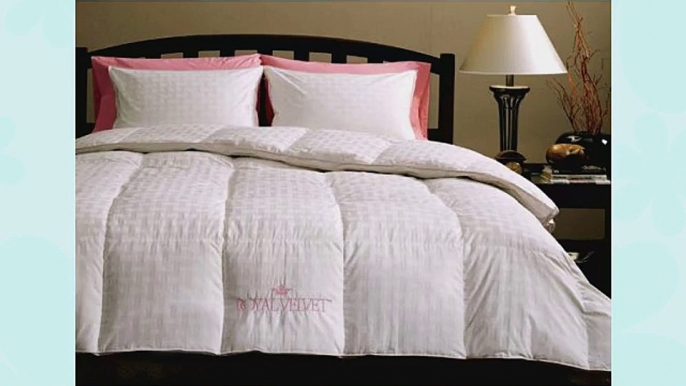 Royal Velvet Prestige Siberian White Down King Comforter