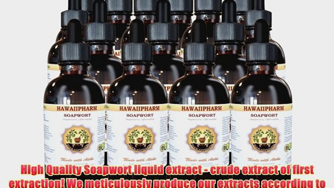 Soapwort (Saponaria officinalis) Liquid Extract 15x4 oz