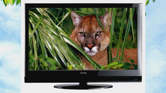 Grundig 32 VLC 6110 C 81 cm (32 Zoll) LCD-Fernseher (Full-HD 100Hz PPR DVB-T/C CI ) schwarz