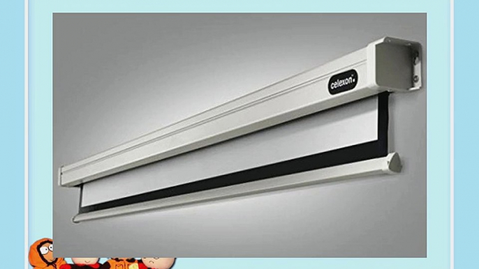 celexon Leinwand Motor Professional 240 x 135 cm