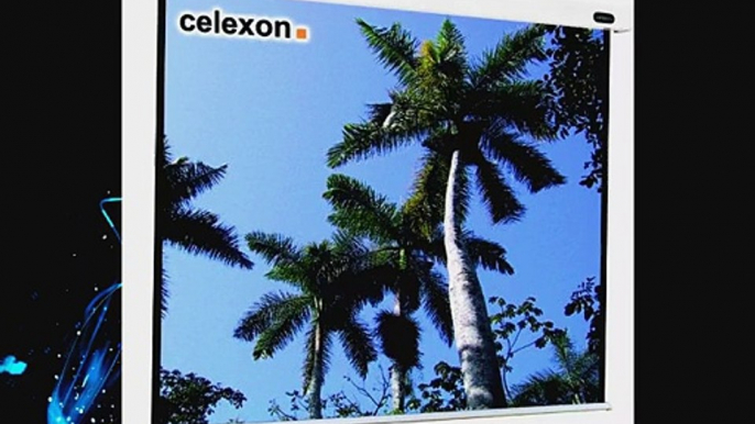 celexon Leinwand Motor Professional 200 x 200 cm