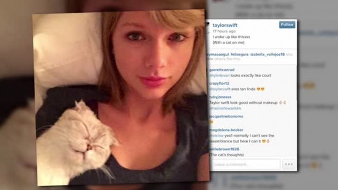 Taylor Swift is Still Waking Up as a Cat Lady