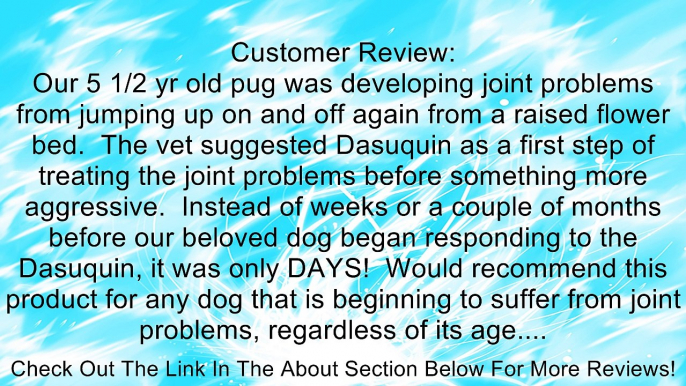 Dasuquin for Small to Medium Dogs, 84-Count Review