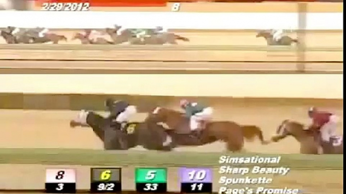 Charles Town Horse Racing Spill Accident Worst Wipeout Ever Seen At  Hollywood Casino Race 8