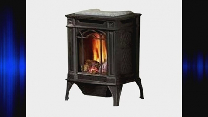 Arlington Direct Vent Cast Iron Gas Stove Color: Black Fuel Type: Natural Gas