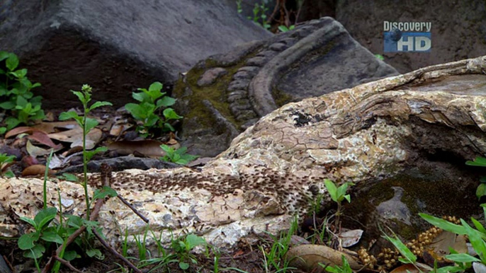 Discovery Channel Sunrise Earth-Angkor Temples of Khmer Kings [Documentary] FreeHDFilms