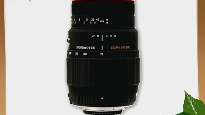 Sigma 70-300mm f/4-5.6 DG APO Macro Telephoto Zoom Lens for Pentax and Samsung SLR Cameras