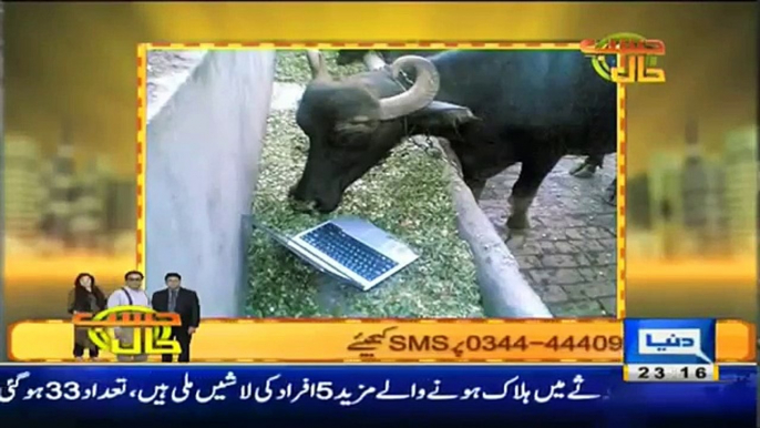 Hasb e Haal 14 July 2013 Full SHow HD Dunya News Hasbe Haal 14th July 2013 _ Tune.pk