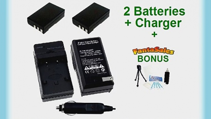 2-Pack Nikon EN-EL9a High-Capacity Replacement Batteries with Rapid Travel Charger for Nikon