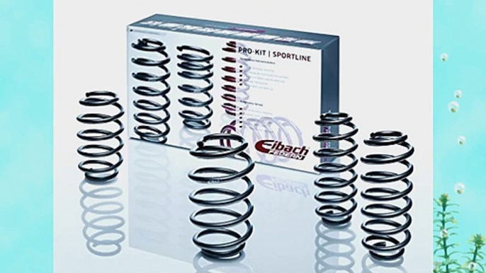 Eibach E10-15-003-04-22 Performance Pro-Kit Springs