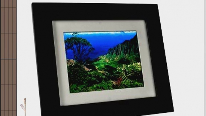 Pandigital Pan Touch PAN7000DW 8-Inch Digital Picture Frame (Factory Refurbished) - Black