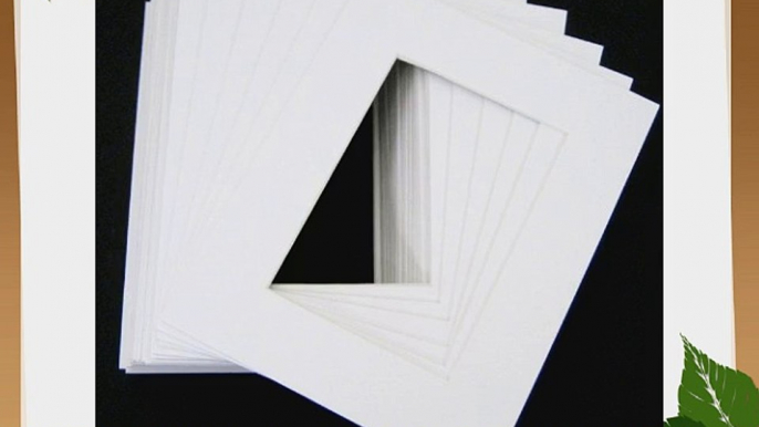 10 of White 16x20 conservation archival whitecore matfits 12x18  back