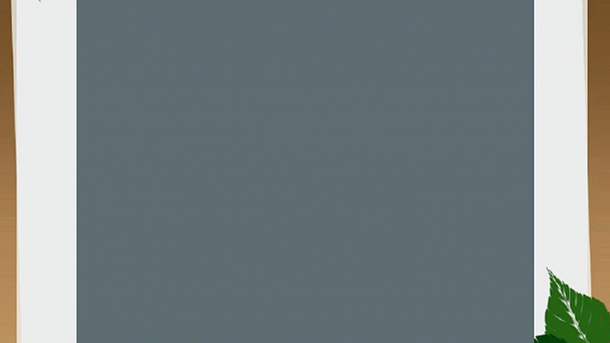 Savage SV-107X12-27 Seamless Background Paper 107-Inch wide x 12 Yards Thunder Gray #27