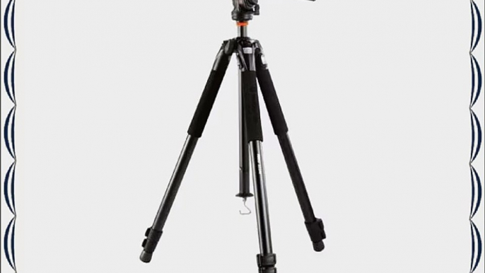 VANGUARD Abeo 323AV Tripods