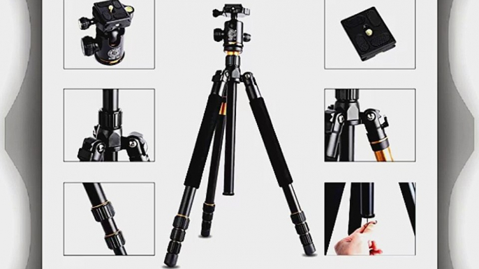 Century Accessory Adjustable Magnesium Aluminum Alloy Tripod Monopod w/ Ball Head For DSLR