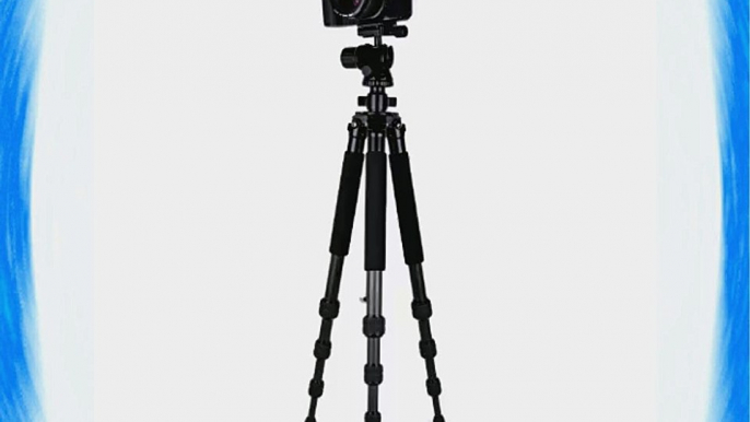 Dolica ZX600B300 Proline ZX Series 60-Inch Carbon Fiber Tripod with Ball Head