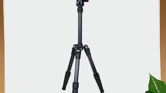 Polaroid Pro Series 55 Carbon Fiber Travel Tripod With Removable Ball head   Tripod Travelling