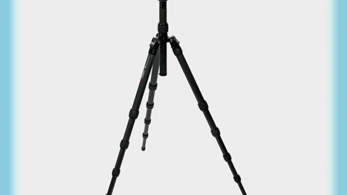 Oben CT-3581 Pro Carbon Fiber Compact Travel Tripod With BE-126T Ball Head