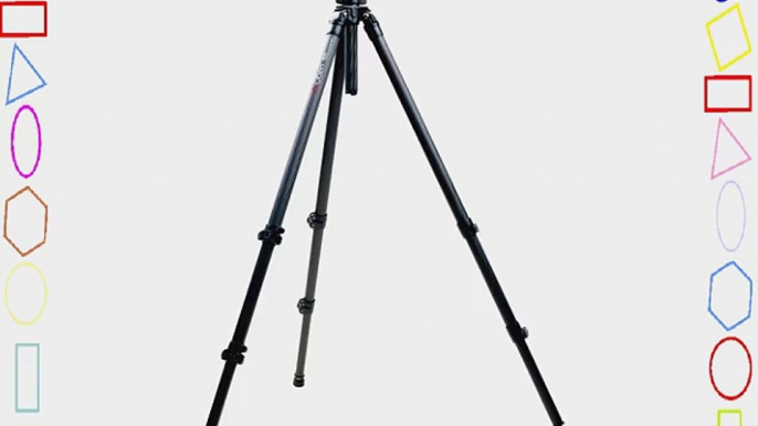 Oben CC-2331 3-Section Carbon Fiber Tripod Legs