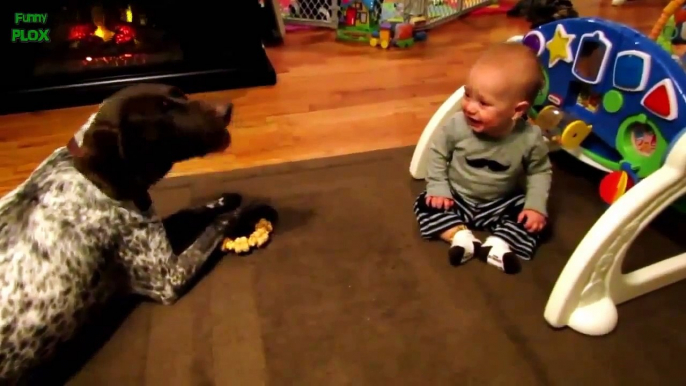Compilation of Babies Laughing at Dogs - FUNNY ANIMALS AND BABIES 2015