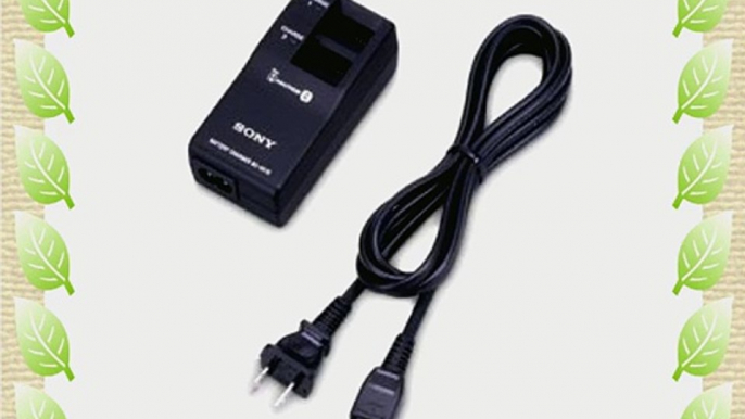 Sony BC-VC10 InfoLithium C-Series Dual Battery Charger