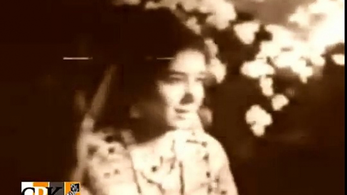 duniya kisi ke pyar mein jannat se kam nahi By Mehdi Hassan Khan and Waheed Murad