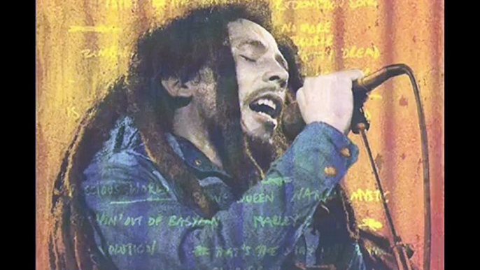 Bob Marley   The Wailers  Zion Train HD  Dortmund 80 !!