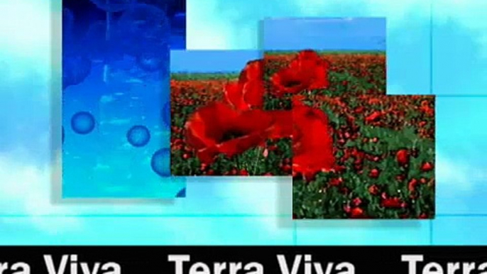 euronews terra viva - EuroNews - SP - Terra Viva : El Reino Unido y a la...