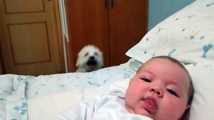 [HD] Puppy tries his best to see newborn baby