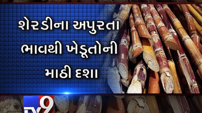 Setback for sugarcane farmers of South Gujarat - Tv9 Gujarati