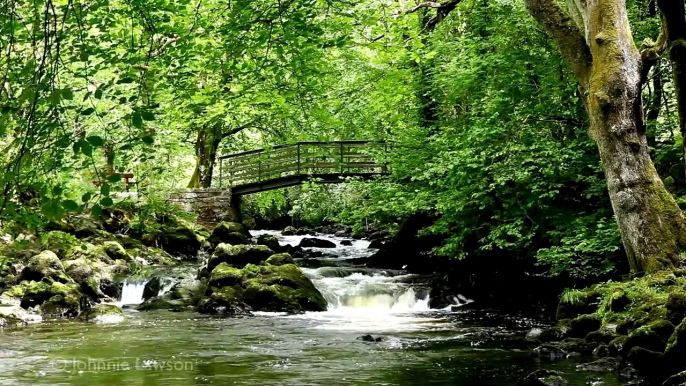 RELAXING Tranquil Music-Nature Sounds-Flowing Water-Birds Song-Grieg-klassisk musik-lugn musik