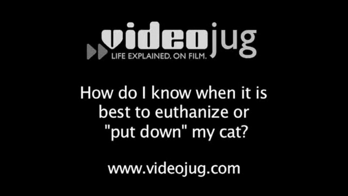 How do I know when it is best to euthanize or "put down" my cat?: Older Cats And Euthanasia