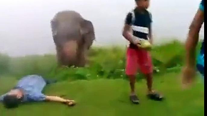 Very Shocking One Dont Play with Huge Animals